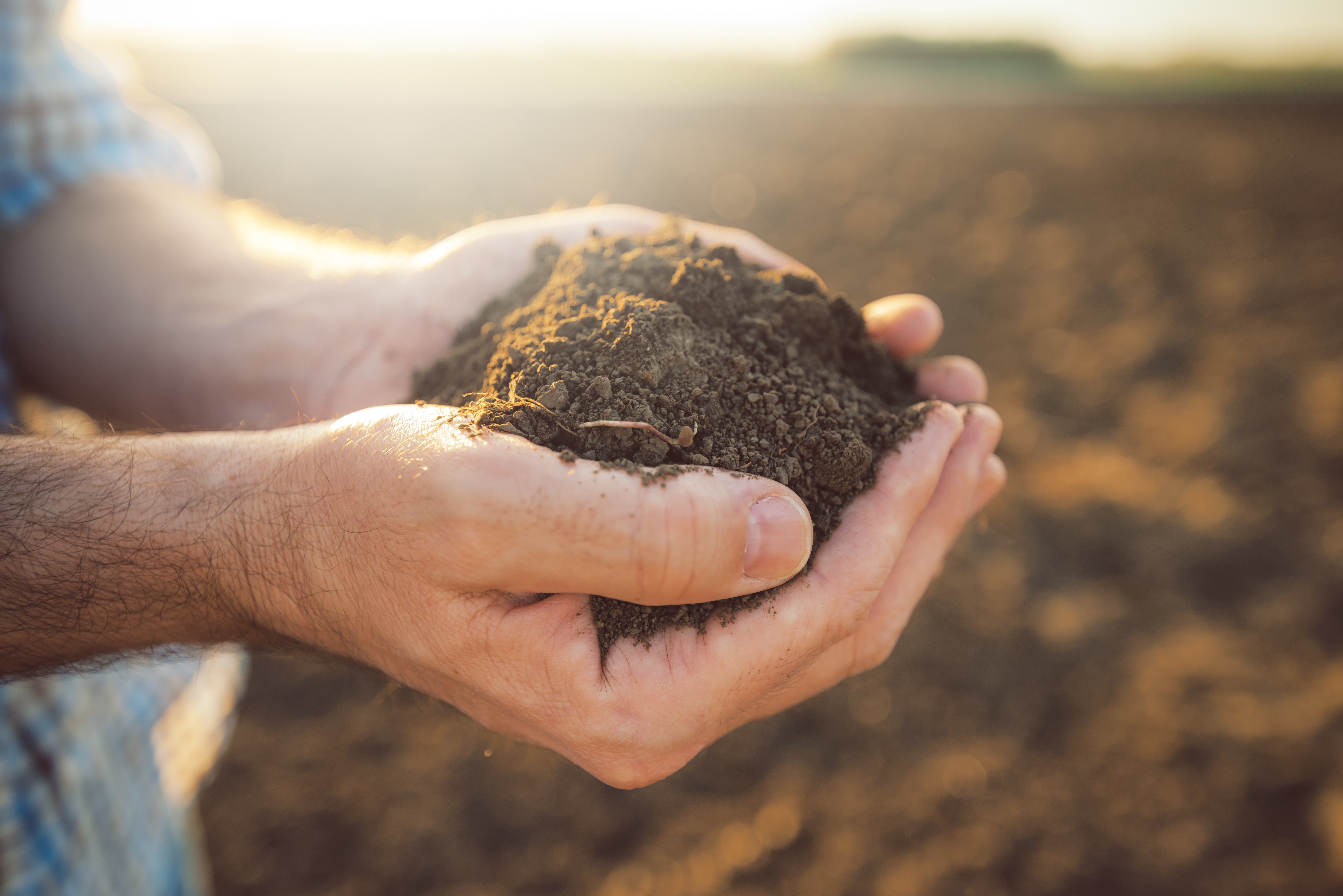 Заботящаяся почва. Горсть земли в руках. Почва. Почва в руках. Горсть почвы.